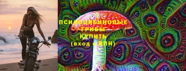 ешки Горнозаводск